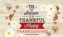 感恩节最新爆料新闻内容,揭秘背后的感人故事与温馨瞬间